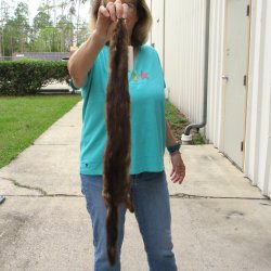 31-1/2" Mink Skin/Pelt