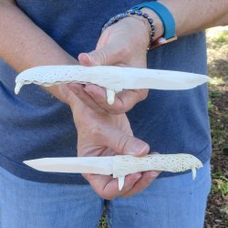 Two piece 7" Alligator Jaw Bone Knives