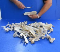 4lb Assorted Bones