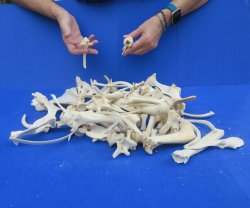 4lb Assorted Bones