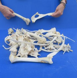 4lb Assorted Bones