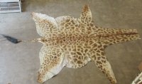 Real Giraffe Hide, Giraffe Hide Rug