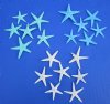 Wholesale small flat dyed blue, green and white starfish 1 to 2 inches  - Pack of 300 @ .10 each; Pack of 1200 @ .09 each