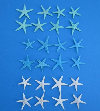3/4 to 1-1/4 inches Wholesale Mini Dyed Starfish in Bulk - 300 pcs @ .08 each; 1200 pcs @ .07 each