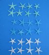 3/4 to 1-1/4 inches Wholesale Mini Dyed Starfish in Bulk (Blue, Green and White) - Pack of 300 @ .08 each; Pack of 1200 @ .07 each