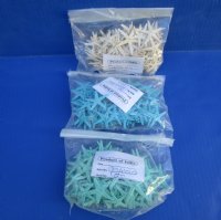 Wholesale small flat dyed blue, green and white starfish 1 to 2 inches  - 300 pcs @ .10 each; 1200 pcs @ .09 each