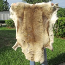 47" x 42" Finland Reindeer Hide, Skin, Farm Raised 