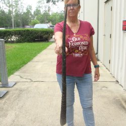 38" Gemsbok Horn <font color=red>(NO POST OFFICE (USPS) SHIPPING!!) </font>