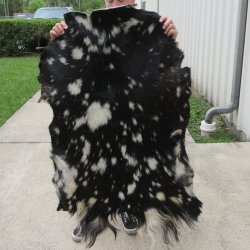 46" x 30" Goat Hide 