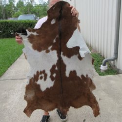 45" x 32" Goat Hide 