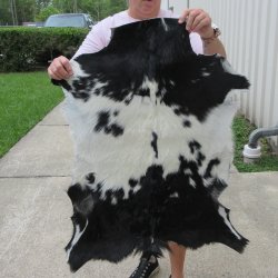 35" x 28" Goat Hide 