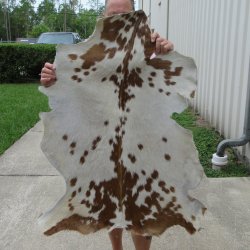 38" x 30" Goat Hide 