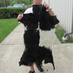 41" x 30" Goat Hide 