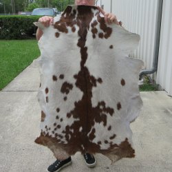 41" x 29" Goat Hide 