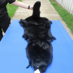 56" Dyed Black Fox Pelt, Tanned Hide