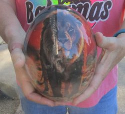 Handcrafted Decoupage Ostrich Egg - African Lion Design - $53