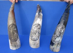Wholesale Polished Buffalo Horns with Carved Bird - 14 inches to 18 inches - 2 @ $21 ea; 6 @ $19 ea