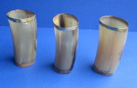 Wholesale Carved Buffalo Horn Cup/Glass with brass rim and Tree of Life design and has a wood bottom - 5 to 5-1/2 inches tall - 2 pcs @ $7.50 each; 12 pcs @ $6.75 each