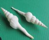 Wholesale White Spindle Snail Seashells, commercial grade, 6 to 7 inches Packed: 25 pieces @ $.95 each; Packed: 100 pcs @ $.85 each  