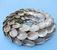 10 inches Abalone Shell Wreaths Wholesale for shell wall art or shell candle holder - 2 pcs @ $7.00 each  