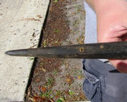 Gemsbok Horns for Sale 32 inch long and Under - (1 pc, 5 pc)