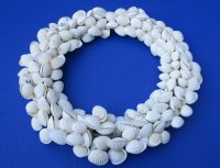 Wholesale White Cardium Shell Wreaths decor - 2 pcs @ $7.75 each