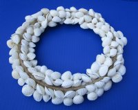 Wholesale White Cardium Shell Wreaths decor - 2 pcs @ $7.75 each