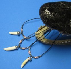 Alligator Tooth Necklaces