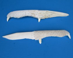 Alligator Jaw Bone Knives 8 inches - $15.00 each; 8 pcs @ $13.50 each