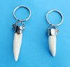 Wholesale Medium Alligator Tooth Key Chains, Key Rings with 1" to 1-3/8 inches tooth and tiny silver gator- Packed: 5 pcs @ $6.00 each; Packed: 10 pcs @ $5.40 each