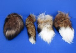 Animal Tails, Heads, Claws