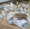 Animal Skins Wholesale - Tanned Hides