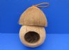 Wholesale Coconut Bird House Moe Design with bottom portion made from one whole coconut and top portion is a half of a coconut - Packed: 6 pcs @ $3.00 each