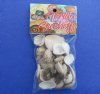 Souvenir bag of mixed shells seashell novelty - 1 pack containing 10 shell bags @ $1.10 bag