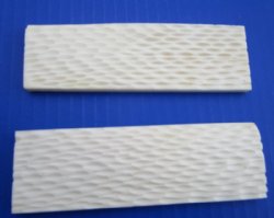 Bone, Horn Knife Scales