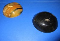 Wholesale Polished buffalo horn bowl measuring 7" long by 2 to 2-1/4" deep -  $9.50 each; 6 pcs @ $8.00 each