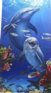 Wholesale 30" x 60" Fiber Reactive Velour Dolphins Underwater Scene Beach Towels with hanger made of 100% cotton - Case of 12 @ $7.50 each