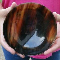 Wholesale Polished buffalo horn bowl measuring 6" long by 3" deep - 2 pcs @ $12.00 each; 12 pcs @ $10.50 each