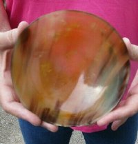 Wholesale Polished buffalo horn bowl measuring 6" long by 3" deep - 2 pcs @ $12.00 each; 12 pcs @ $10.50 each