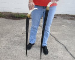 Wholesale Polished Gemsbok Horn Walking Cane, Stick with a Warthog Tusk handle with a brass fastener - $120 each