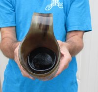 Wholesale Buffalo horn mug with full rustic look, 6 inches tall - <font color=red>*Closeout Sale* </font>$19.00 each; 8 pcs @ $17.00 each