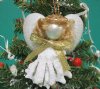 Wholesale Glitter Cut Murex shell Angel with Clam Shell Wings & Gold Bow ornament - Packed: 10 pcs @ $1.60 each