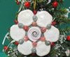 Wholesale Sea Cookies with Dyed Umboniums wreath ornament - 3-1/2 inches long - Packed: 10 pcs @ $1.60 each; Packed: 30 pcs @ $1.40 each