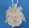 1-1/2 inches Wholesale Shell Christmas Ornaments made with Cockle shells accented with white doves and decorative ribbon -  Packed 10 @ $1.80 each; Packed: 30 pcs @ $1.60 each