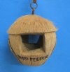 Wholesale Carved Coconut Birdhouse with Black carved birds, 2 entrance holes and "bird feeder" wording  - Pack of 6 @ $2.25 each