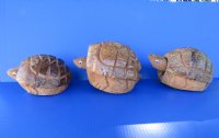 Wholesale Bobble Head Carved Coconut Turtle - 18 pcs @ $3.15 each