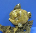 Wholesale Carved Coconut Fish Novelty 10" long - Box of 6 @ $2.25 each;