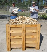 Warthog, Hippo Tusks