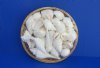 Wholesale 6 inch White Seashell Basket filled with assorted white mixed shells - Minimum: 6 pcs @ $1.50 each