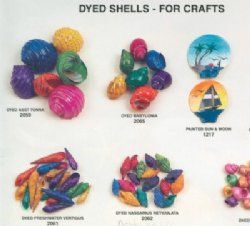 Dyed Seashells 
